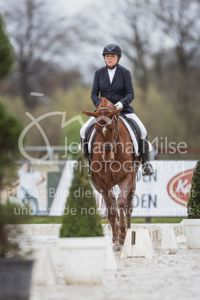 240401_Fruehlingsfest_A1-Dressur-426 | Deine schönsten Turniermomente als professionelle Fotos! Entdecke hochwertige Pferdesport-Fotografie im Online-Shop. Jetzt Fotos finden & bestellen!