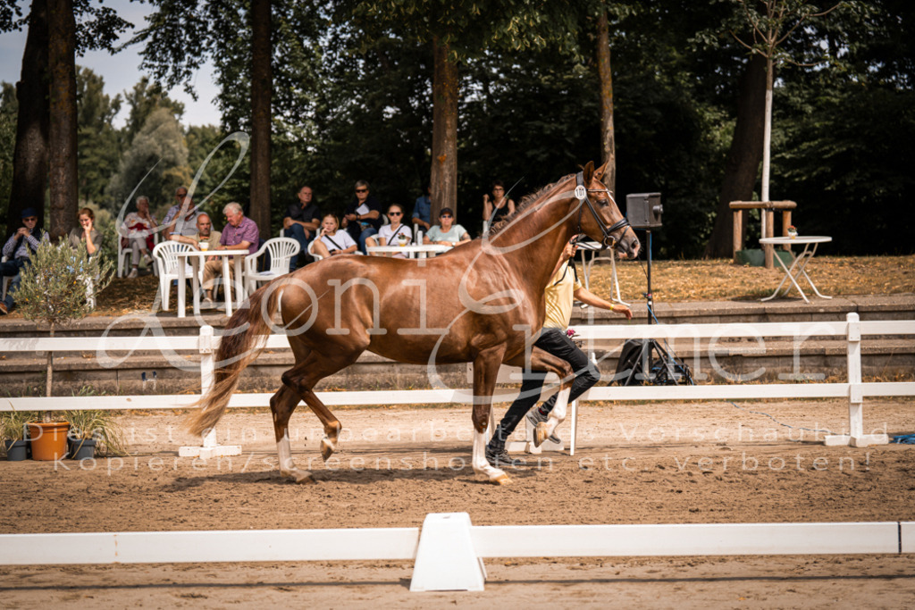 2. Fr00009 | Leoni Ertmer Photography - Realisiert mit Pictrs.com