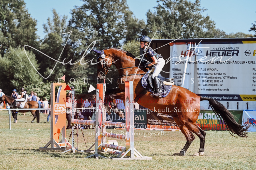 DSC_6598 | Pferde- und Turnierfotografie in Westsachsen. Pferdeportraits, Auftragszeichnungen und intuitive Kunst.