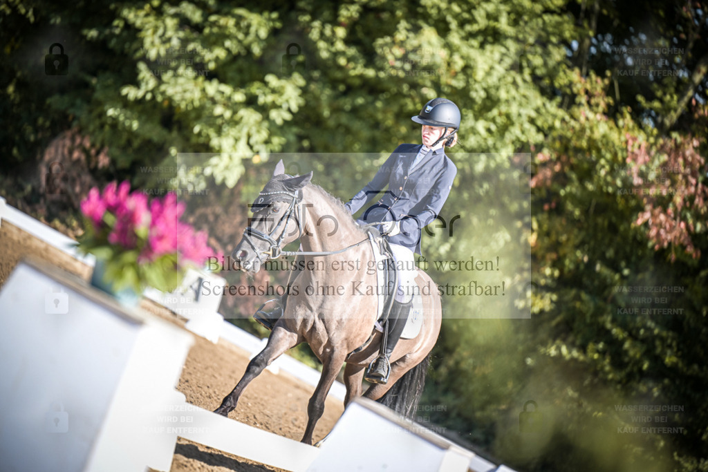 DOS_3131 | Entdecke hochwertige Reitturnierfotos von Foto Oger. Professionell, emotional und authentisch – jetzt Lieblingsmomente im Shop bestellen. - Realisiert mit Pictrs.com