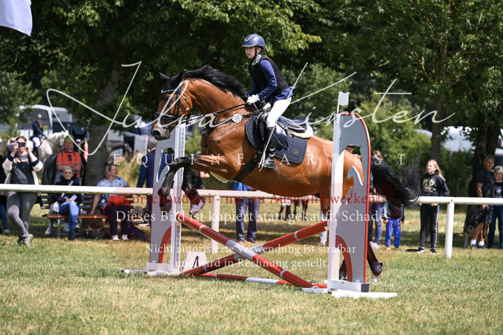 DSC_9322 | Pferde- und Turnierfotografie in Westsachsen. Pferdeportraits, Auftragszeichnungen und intuitive Kunst.