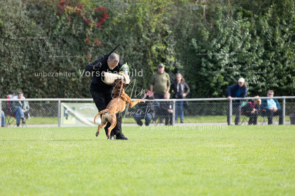 _16A5408 | Einzigartige Fotos von Hunden & Menschen –Actionfotos, Portraits, Vereinsaufnahmen & Paarshootings – authentisch, lebendig & mit Herz.