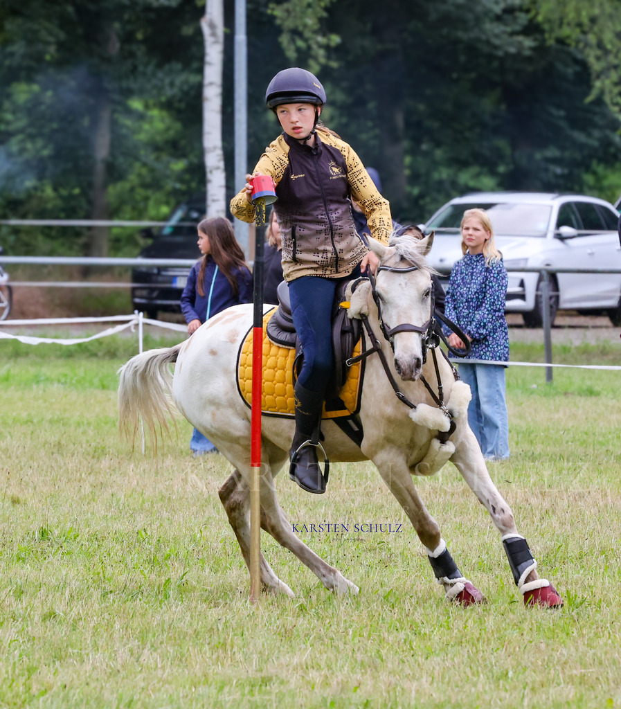 1B3A0135 | Reitsport Reiten