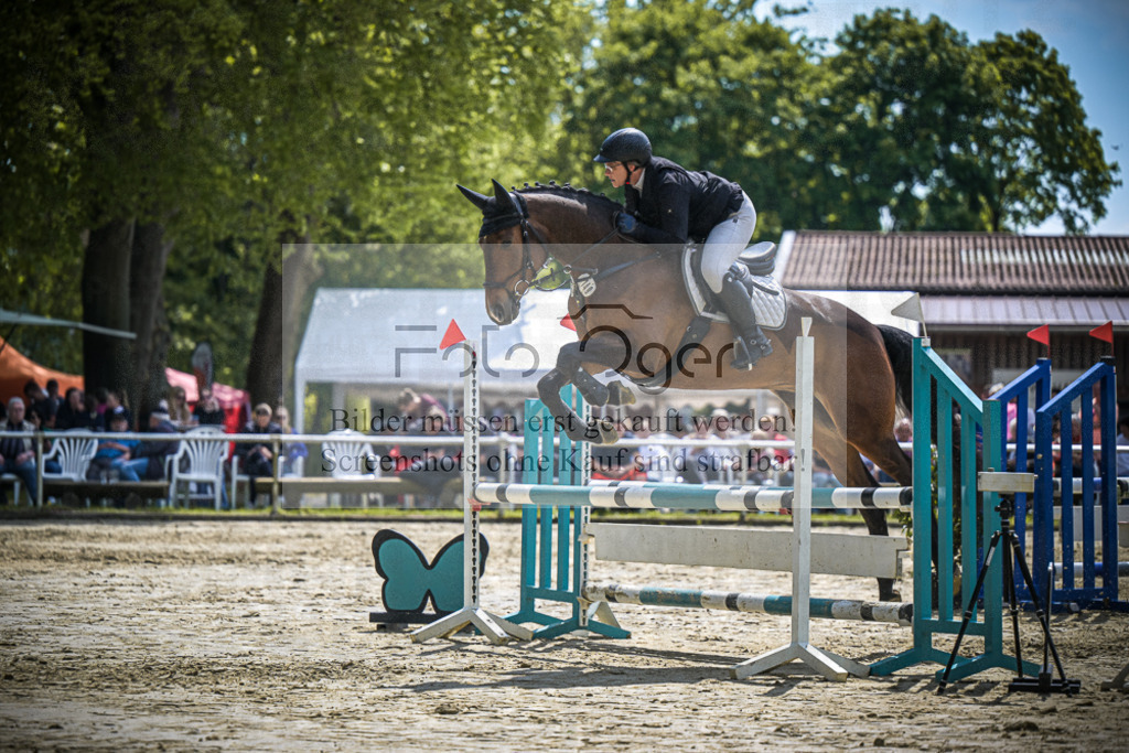 DOS_9842 | Entdecke hochwertige Reitturnierfotos von Foto Oger. Professionell, emotional und authentisch – jetzt Lieblingsmomente im Shop bestellen.Deutschlandweite Turnierfotografie. - Realisiert mit Pictrs.com