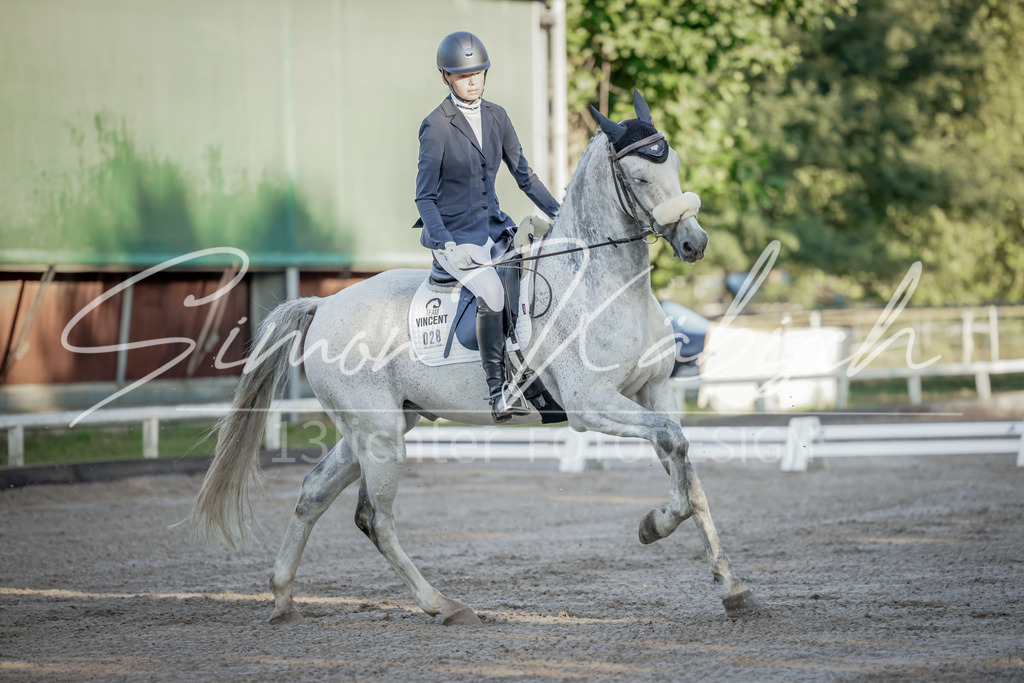 20250906-_3LI2665 | Tierfotografie Pferde, Hunde, Katzen, Haustiere.
Turnierfotografie Reitturniere, Reiten, Springreiten, Dressur in Hanau, dem Main-Kinzig-Kreis und dem Rhein-Main- Gebiet um Frankfurt