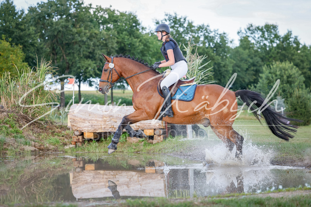 20250905-_3LI2122 | Tierfotografie Pferde, Hunde, Katzen, Haustiere.
Turnierfotografie Reitturniere, Reiten, Springreiten, Dressur in Hanau, dem Main-Kinzig-Kreis und dem Rhein-Main- Gebiet um Frankfurt