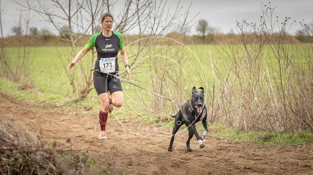 DV3A1987 | Hundefotografie, Tierfotograf, Pfotenfotografie, Fotoshooting Hund, Hunde Portrait, Hundesport, Hundeportraits, Heideshooting, Hunde, Sportfotograf, Hundefotograf, Turnierhundsport, THS,  - Realisiert mit Pictrs.com