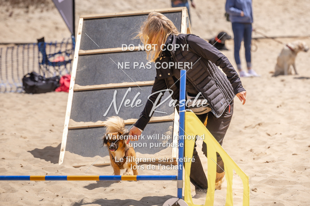 NR__2506 | nelerasche