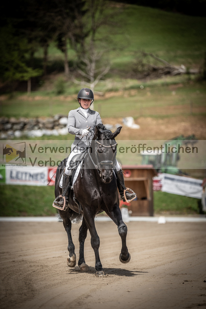 DSC_1319 | equestrian-live-com