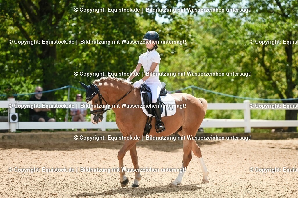 20230715_09_Dressur-WB_0237 | equistock