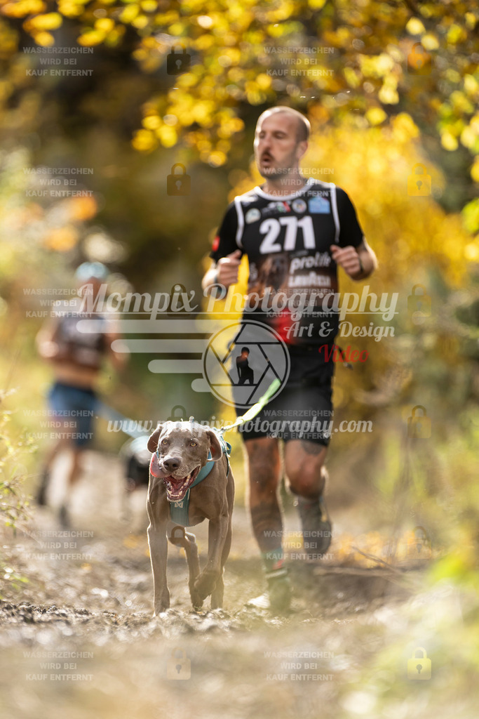 MompixPhotography_ICF_WC_2024_SA_Run_-97 | PayLife