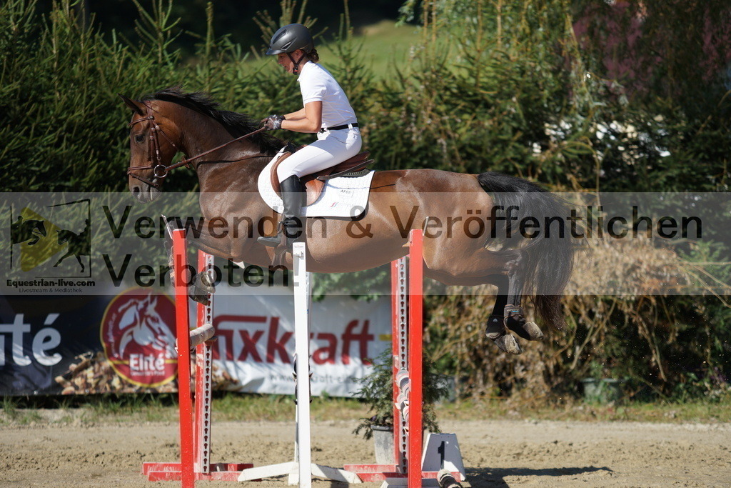 DSC01695 | equestrian-live-com