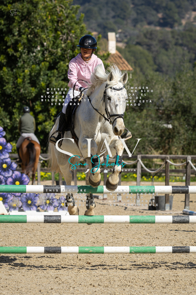 IMG_6388 | s-jay-photography - Realisiert mit Pictrs.com