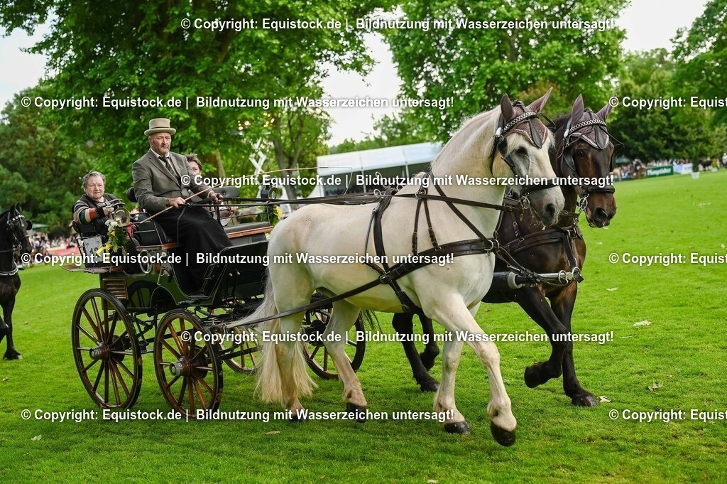 20250606_Lange-Pferdenacht_0134 | Foto: Thomas Hartig