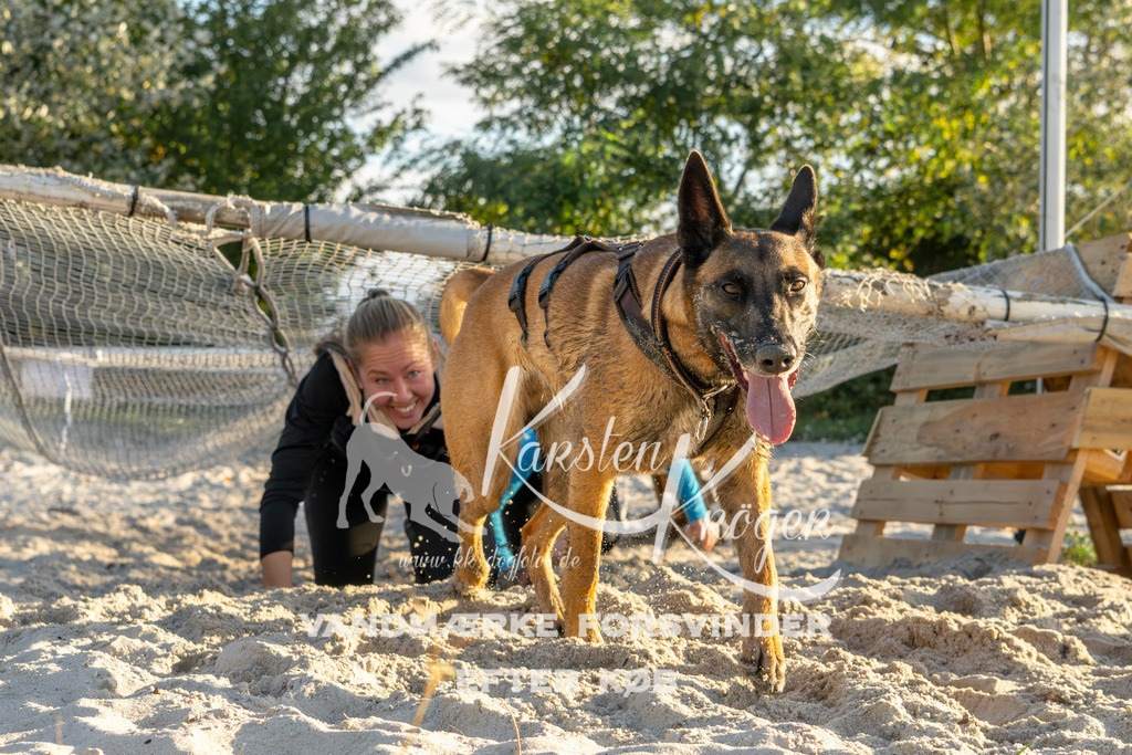 1653_ZZ90211 | kk-dogfotos