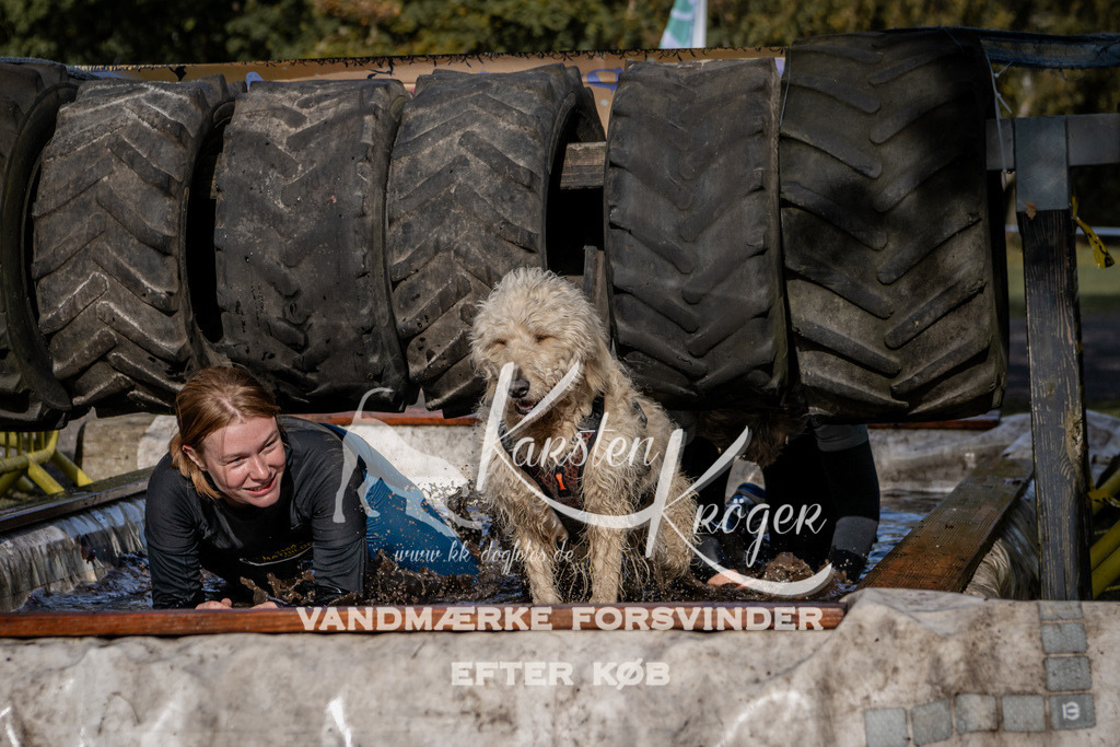 1324_ZZ92578 | kk-dogfotos