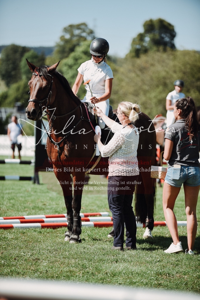 DSC_3340 | Pferde- und Turnierfotografie in Westsachsen. Pferdeportraits, Auftragszeichnungen und intuitive Kunst.