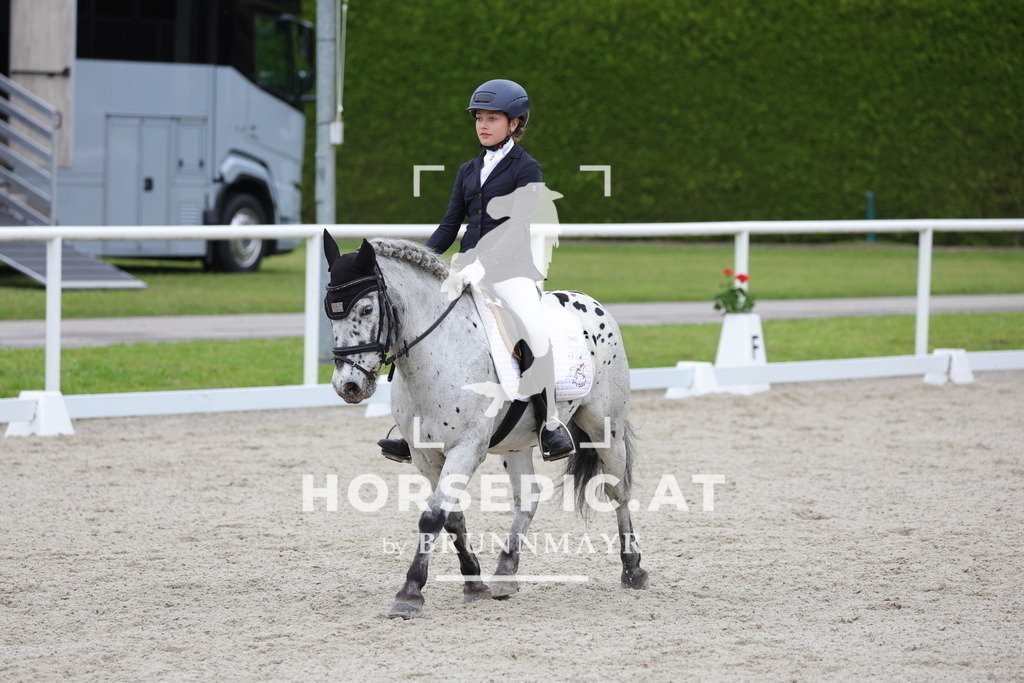 0P6A5610 | Willkommen bei Brunnmayr - Design & Fotografie – Ihrem Spezialisten für Reitturniere und Pferdeveranstaltungen in Oberösterreich, Salzburg und Bayern! Seit über 17 Jahren sind wir leidenschaftlich dabei.