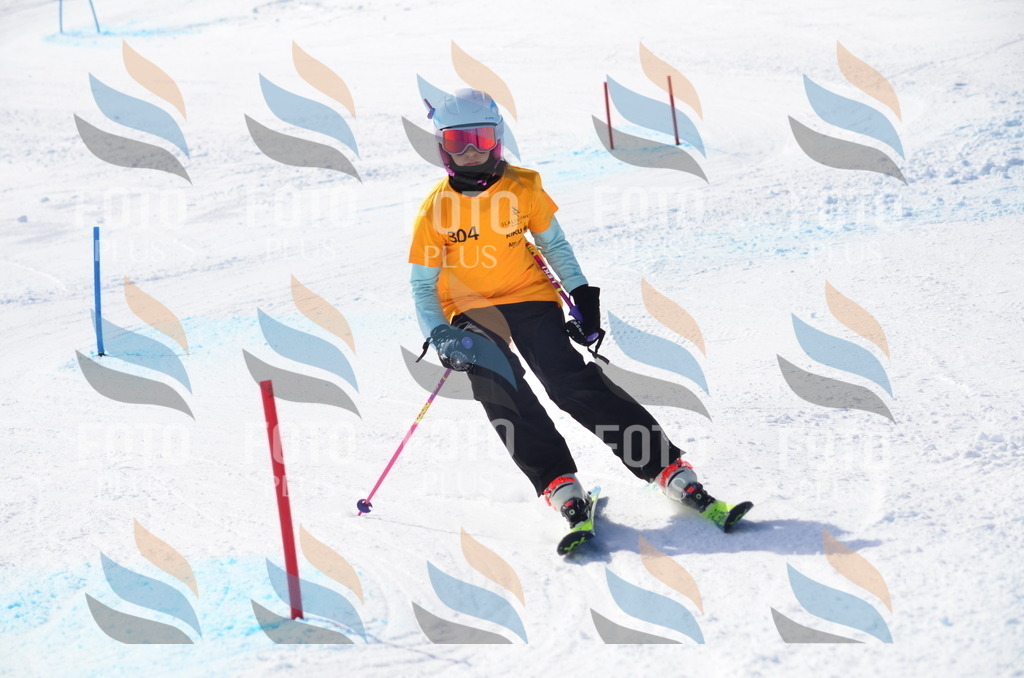 C9487 | holidayphoto