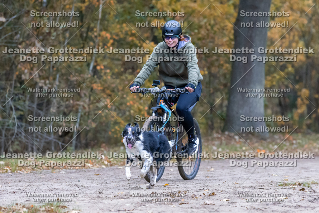 Dog Paparazzi - SD CaniX Championship 2025-260 | Dog Paparazzi Jeanette Grottendiek Fotografie & Videografie - Realisiert mit Pictrs.com