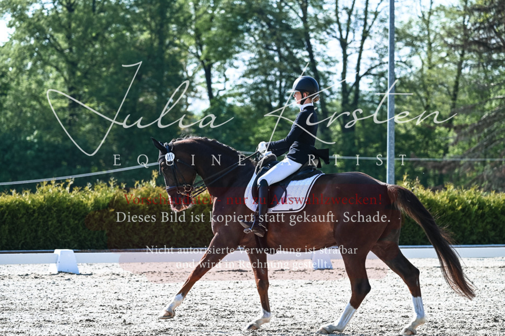 20230514_JK-Röhrsdorf-18-203 | Pferde- und Turnierfotografie in Westsachsen. Pferdeportraits, Auftragszeichnungen und intuitive Kunst.