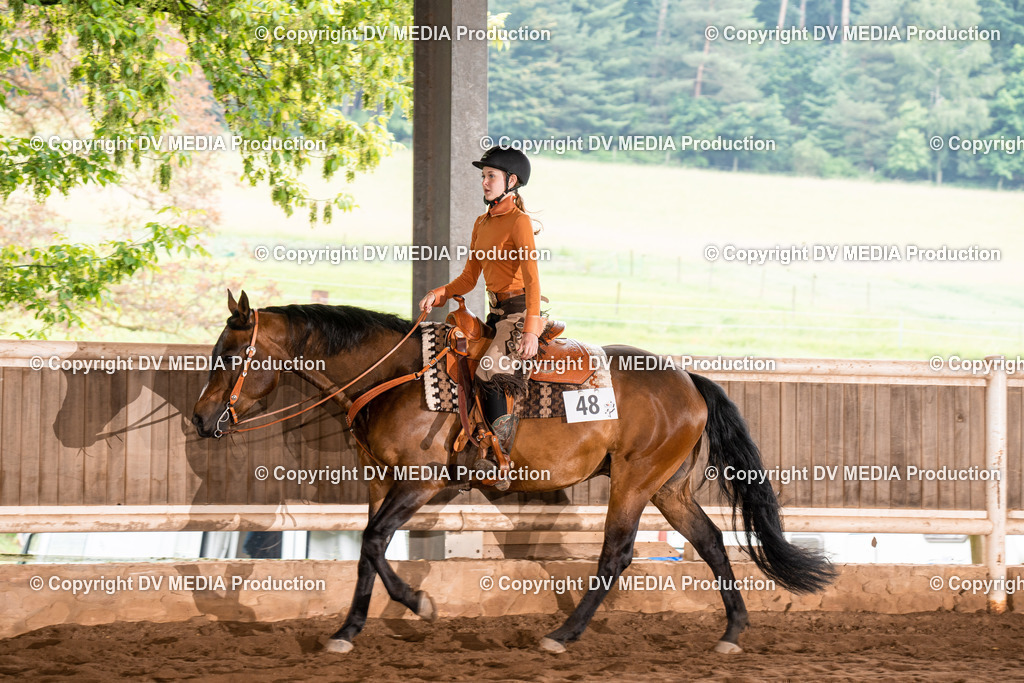 Erbach Tag 4-588 | dv-media-shop - Realisiert mit Pictrs.com