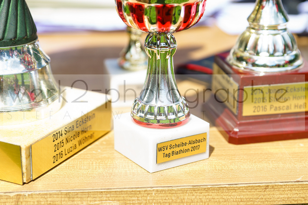 Tag Biathlon Scheibe-Alsbach | TAG BIATHLON am 10. Juni 2018 auf der Biathlonanlage "Am Rußtiegel" in Scheibe-Alsbach