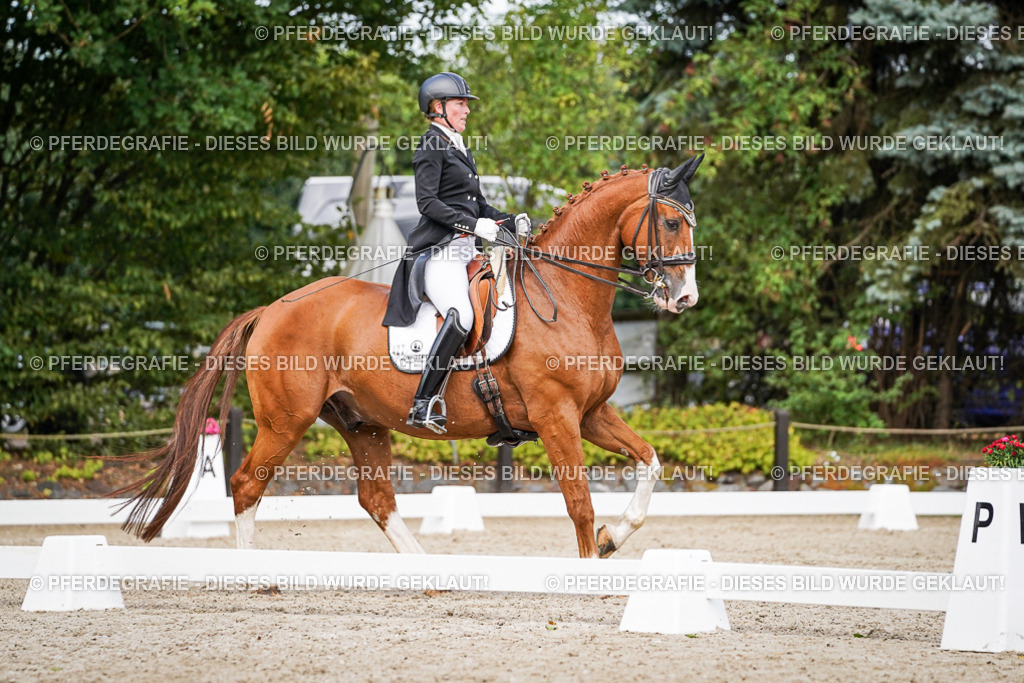 DSC06491 | Pferdegrafie