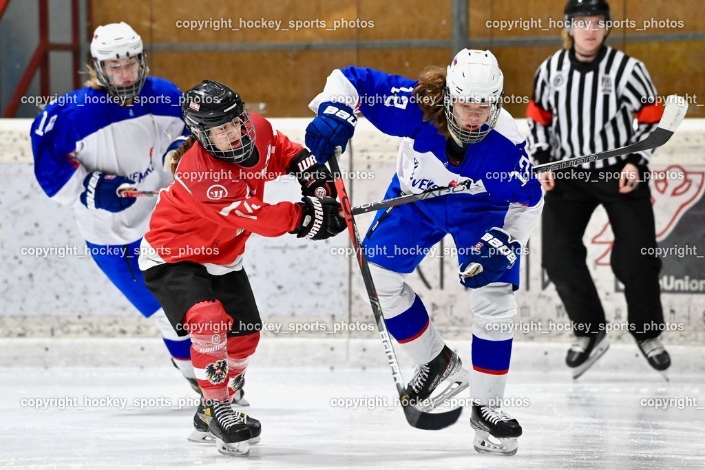 BST_3429 | hockey sports photos, Pressefotos, Sportfotos, hockey247, win 2day icehockeyleague, Handball Austria, Floorball Austria, ÖVV, Kärntner Eishockeyverband, KEHV, KFV, Kärntner Fussballverband, Österreichischer Volleyballverband, Alps Hockey League, ÖFB, 