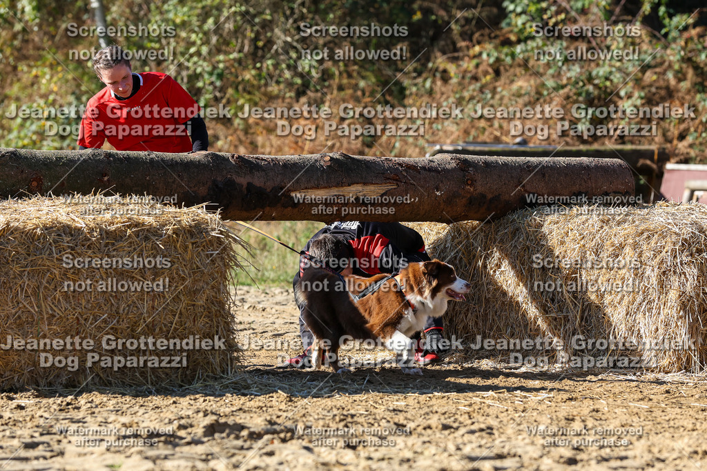 Dog Paparazzi - Strongdog 10-25-2797 | Dog Paparazzi Jeanette Grottendiek Fotografie & Videografie - Realisiert mit Pictrs.com
