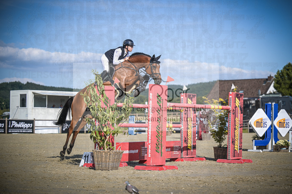 DOS_1679 | Entdecke hochwertige Reitturnierfotos von Foto Oger. Professionell, emotional und authentisch – jetzt Lieblingsmomente im Shop bestellen.Deutschlandweite Turnierfotografie. - Realisiert mit Pictrs.com