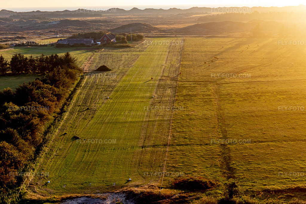 Aerial view: International Airport with Highland cattle in Fanø in the state South Denmark, Denmark.Photo: IMG_118981.jpg taken on 09/21/2019 by Werner Riehm/FLY-FOTO.comResolution of the original: 5472 x 3648 px