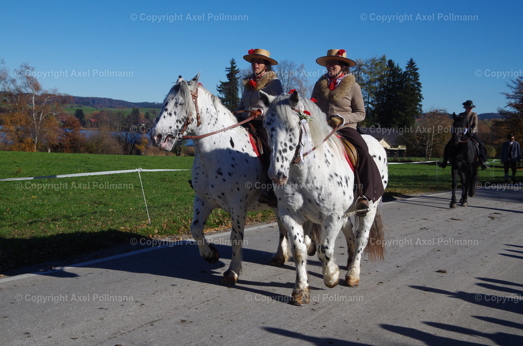 IMGP8308 | fotografiert von Axel PollmannLeonhardi Wallfahrt Benediktbeuern und Murnau, Fronleichnam, Fasching, Landschaft im Loisachtal und Benediktbeuern  - Realisiert mit Pictrs.com