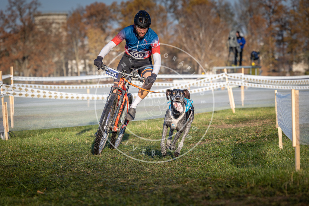 CaniXpix_0L8A3944 | Hundefotografie, Tierfotograf, Pfotenfotografie, Fotoshooting Hund, Hunde Portrait, Hundesport, Hundeportraits, Heideshooting, Hunde, Sportfotograf, Hundefotograf, Turnierhundsport, THS,  - Realisiert mit Pictrs.com