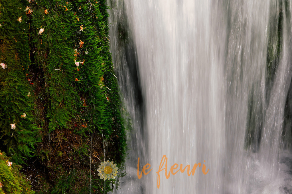 Eine moosige Sache... | Dies ist der Shop von Florian Blum - le fleuri. Langenthal, Bern, SchweizSie können hier meine oder ihre eigenen Fotos als Fotoprodukte kaufen. Tassen, Schlüsselanhänger, Taschen etc. können Sie hier gestalten.  - Realisiert mit Pictrs.com