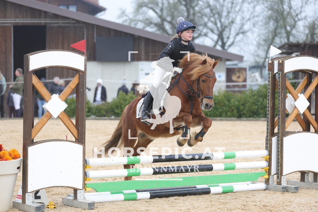 0P6A8636 | Willkommen bei Brunnmayr - Design & Fotografie – Ihrem Spezialisten für Reitturniere und Pferdeveranstaltungen in Oberösterreich, Salzburg und Bayern! Seit über 17 Jahren sind wir leidenschaftlich dabei.
