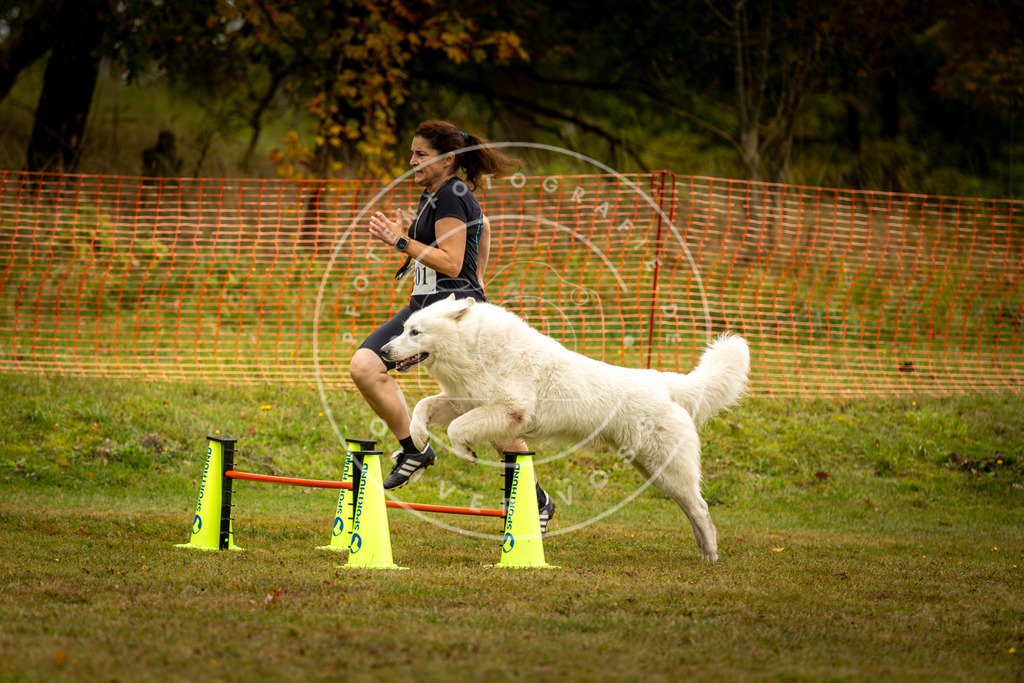 Pfotenfotografie_DV3A2464 | Hundefotografie, Tierfotograf, Pfotenfotografie, Fotoshooting Hund, Hunde Portrait, Hundesport, Hundeportraits, Heideshooting, Hunde, Sportfotograf, Hundefotograf, Turnierhundsport, THS,  - Realisiert mit Pictrs.com