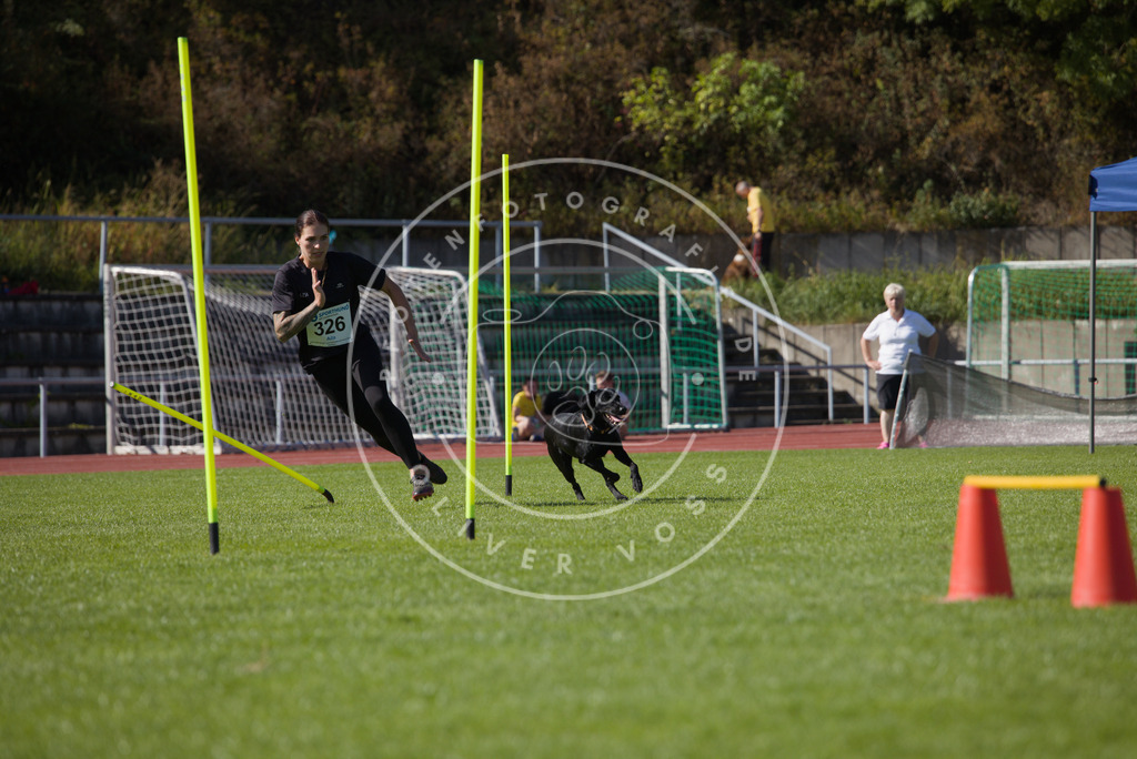 0L8A8571 | Hundefotografie, Tierfotograf, Pfotenfotografie, Fotoshooting Hund, Hunde Portrait, Hundesport, Hundeportraits, Heideshooting, Hunde, Sportfotograf, Hundefotograf, Turnierhundsport, THS,  - Realisiert mit Pictrs.com