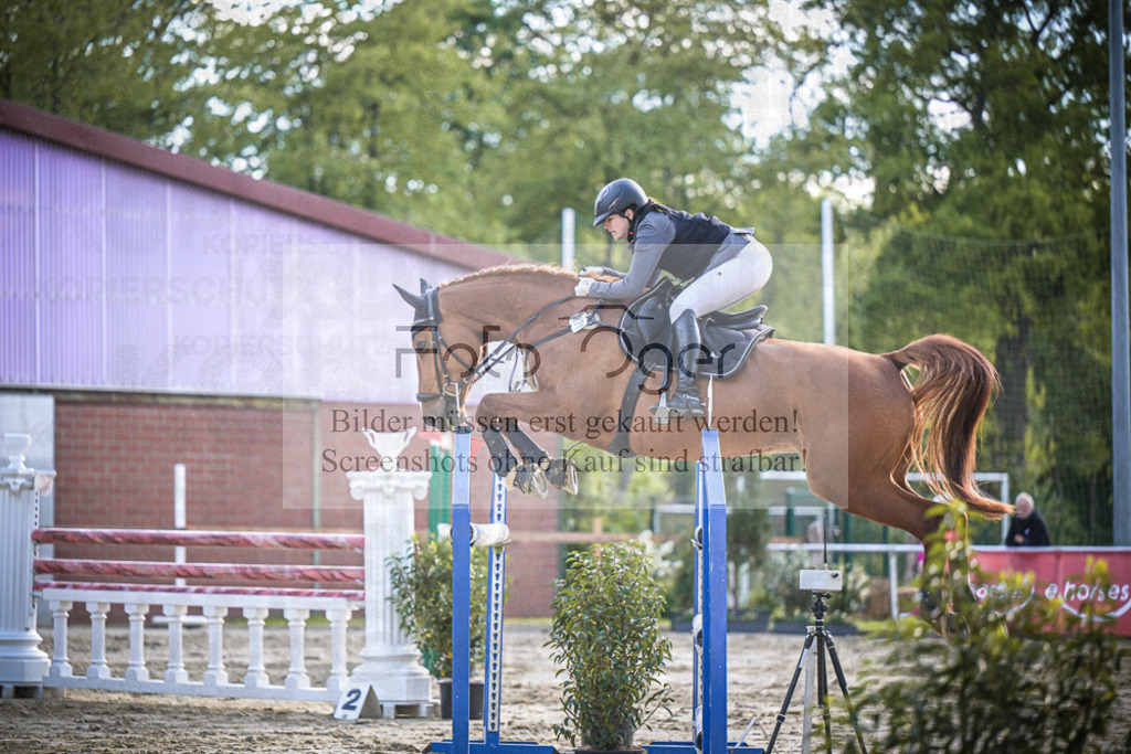 DOS_4163 | Entdecke hochwertige Reitturnierfotos von Foto Oger. Professionell, emotional und authentisch – jetzt Lieblingsmomente im Shop bestellen.Deutschlandweite Turnierfotografie. - Realisiert mit Pictrs.com