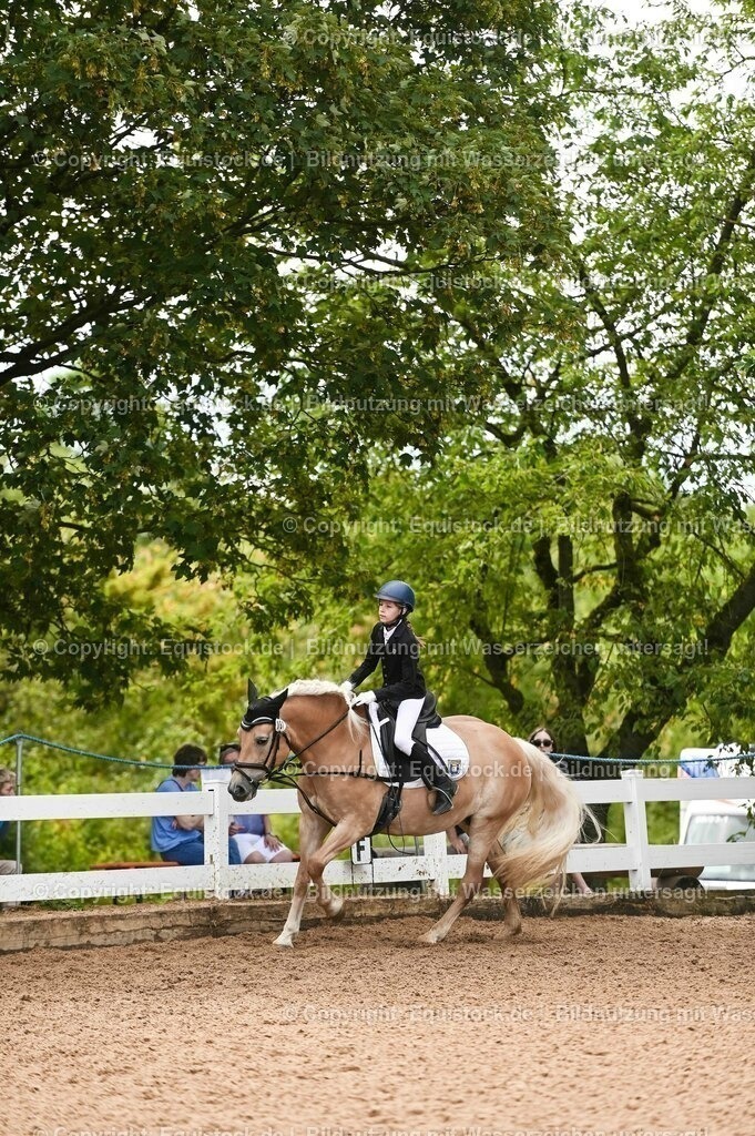 20230716_10-2_Reiter-WB Schritt - Trab - Galopp_0045 | equistock