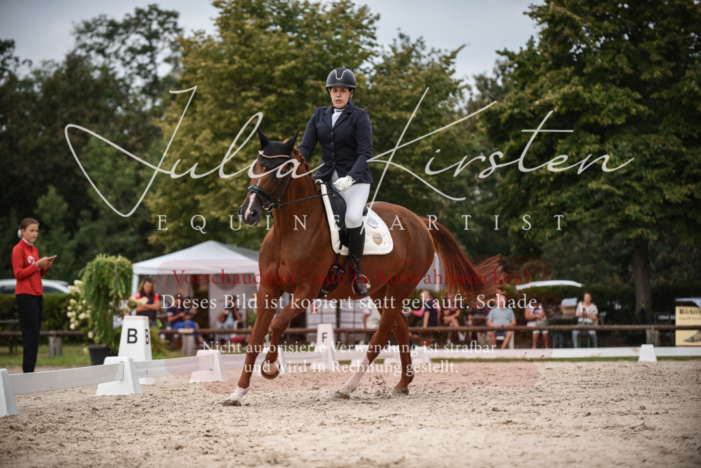 DSC_8384 | Pferde- und Turnierfotografie in Westsachsen. Pferdeportraits, Auftragszeichnungen und intuitive Kunst.