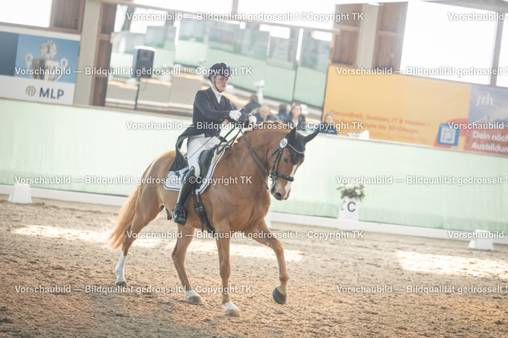 _D5A7955 | Emotionale Pferde- & People-Fotografie rund um Heidelberg, Leimen & Umgebung. Natürliche Fotos von Pferd, Mensch & Familie. Jetzt Termin sichern!