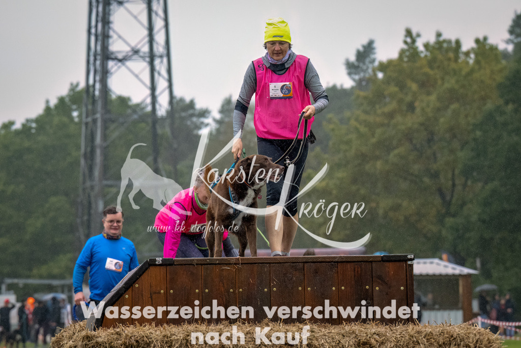 1005--33 | kk-dogfotos