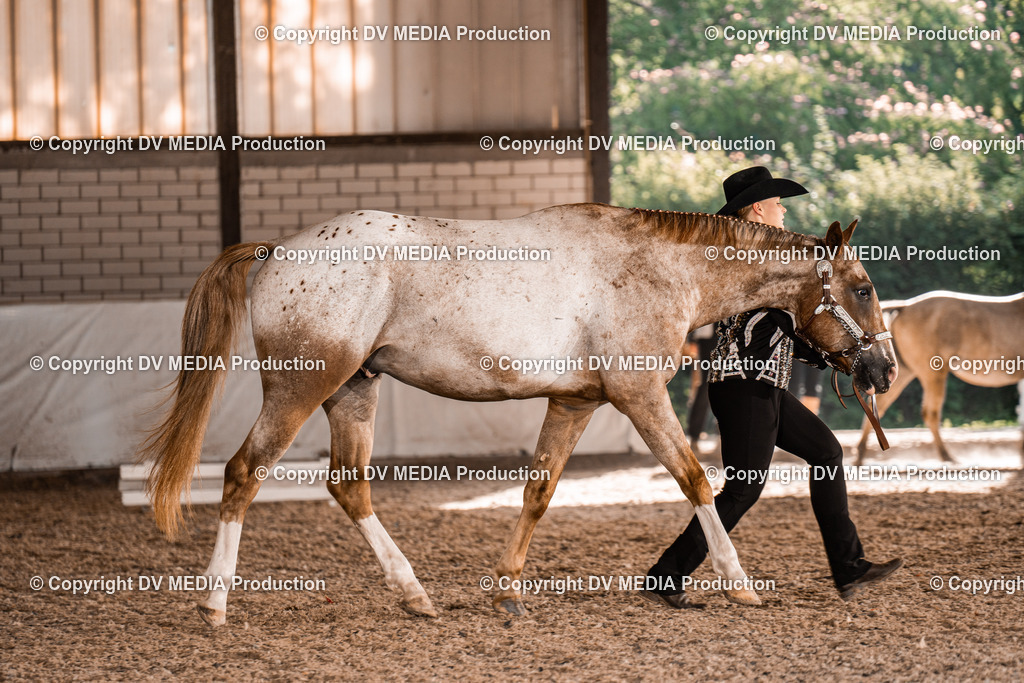 ZH100011 | dv-media-shop - Realisiert mit Pictrs.com