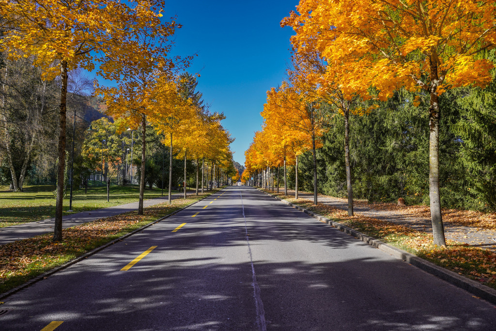 2021_10_24 BRM02831 | bridgeman - Realisiert mit Pictrs.com