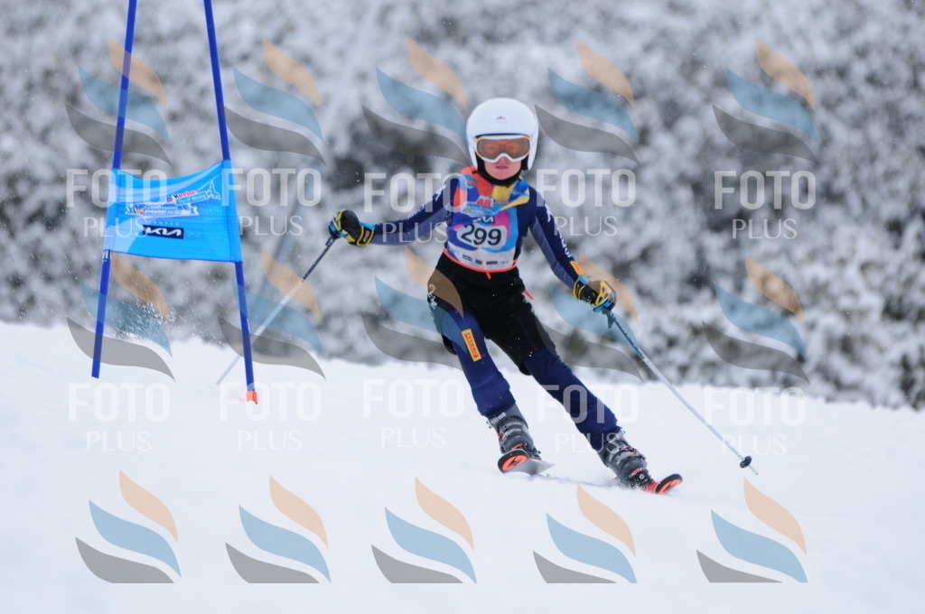 C3158 | holidayphoto