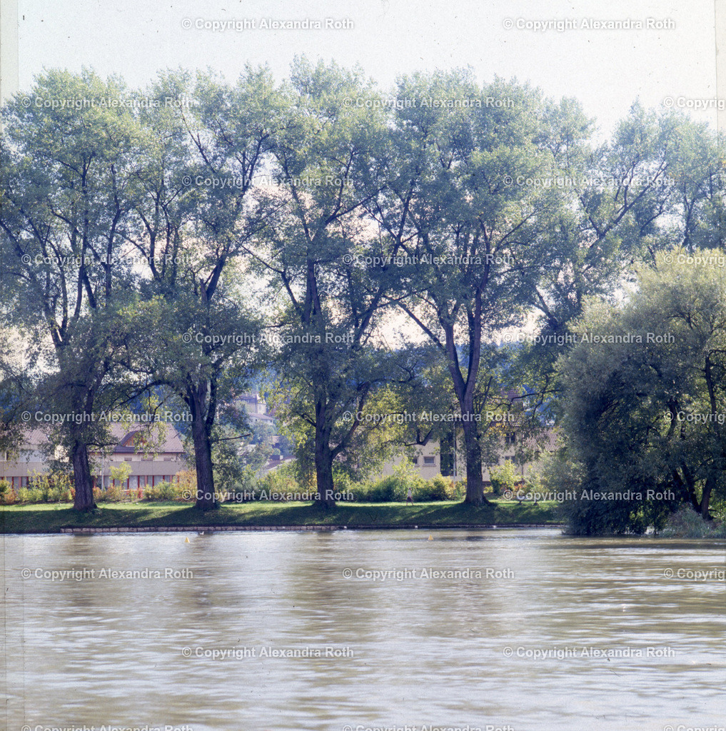 Aarau_0575 | onlineshop - Realisiert mit Pictrs.com