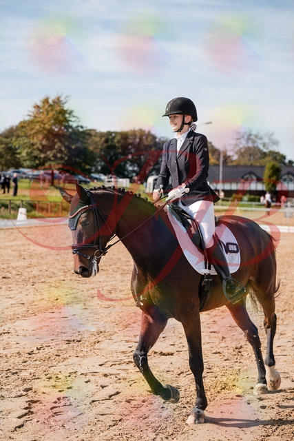 2026_10_03_Siefer-Hof_125340_Z63_61698369 | Professionelle Reitsport-, Turnier- und Eventfotografie von Robert Broda. Galerien mit ausgewählten und bearbeiteten Bildern direkt online ansehen und bestellen.