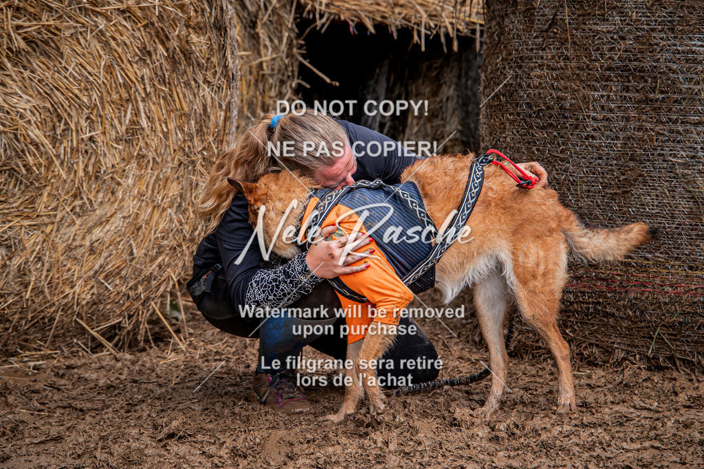 nelerasche_Hunsrück_So09-11_360 | nelerasche