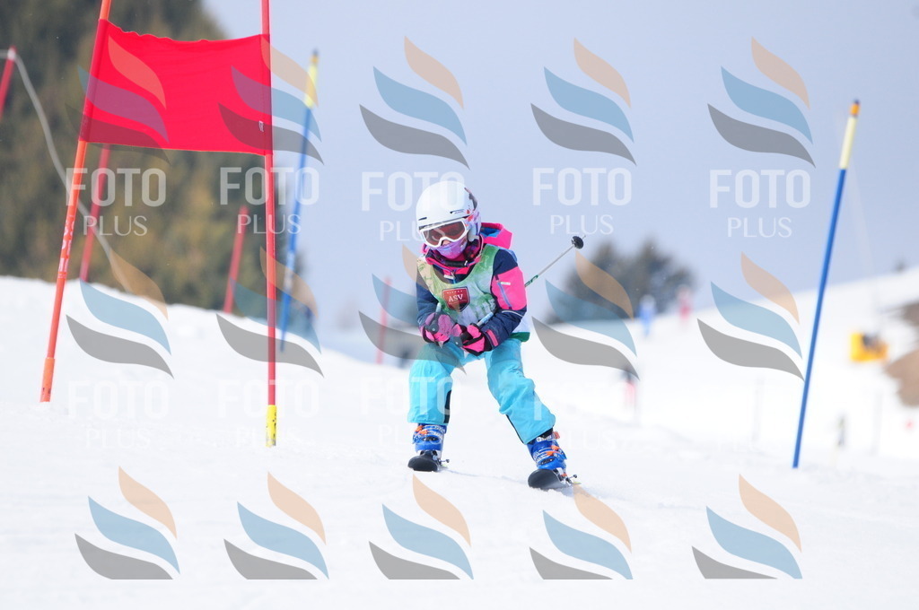 A3605 | holidayphoto